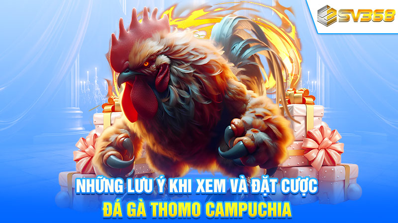 Những lưu ý khi xem và đặt cược đá gà Thomo Campuchia